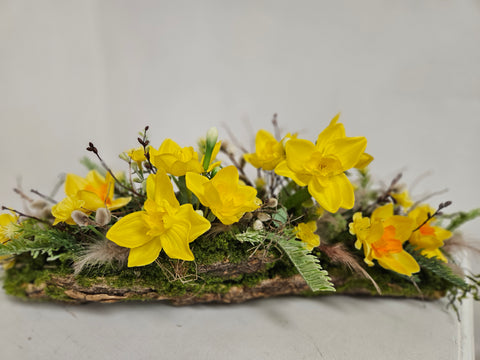 Long lasting Moss Decoration with Daffodil