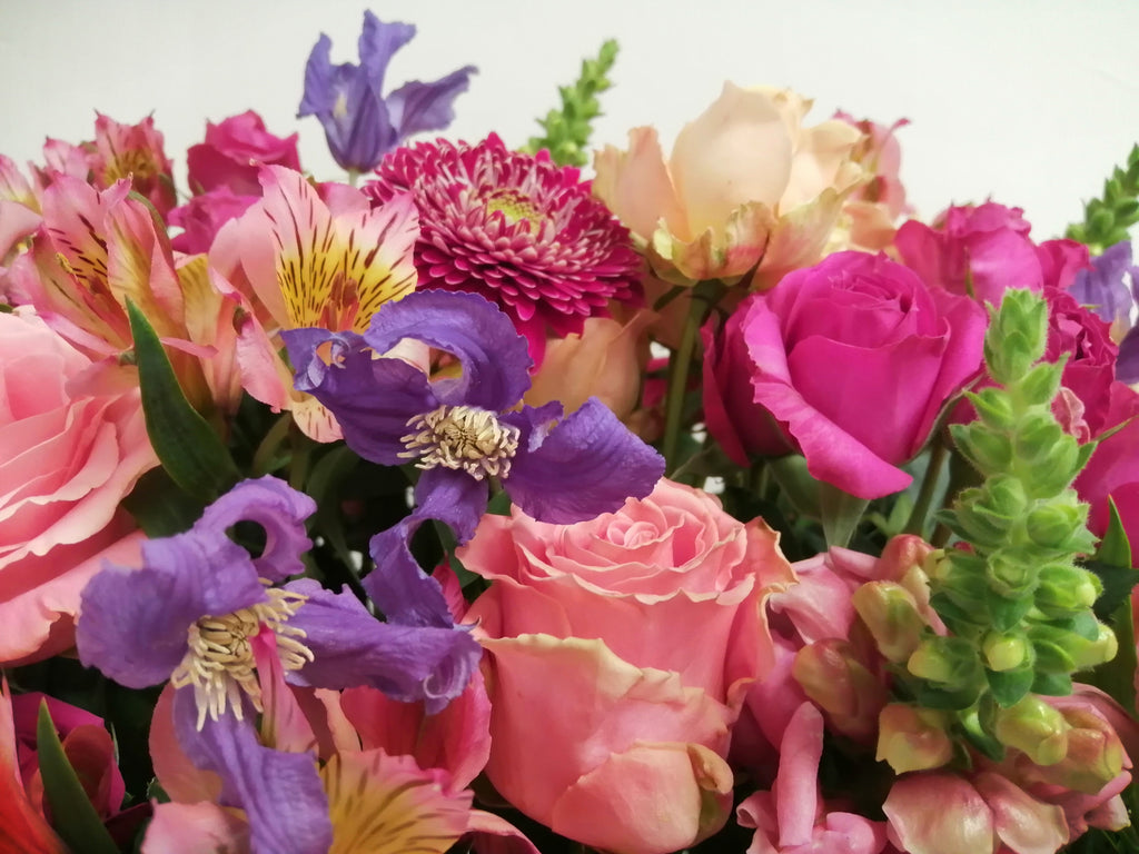 How to care for cut flowers