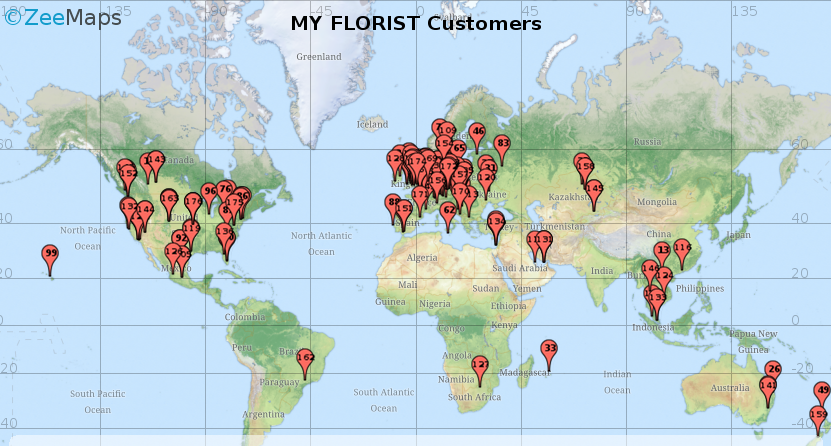 Lokální přesto globální MY FLORIST