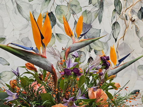 Strelitzia Bouquet