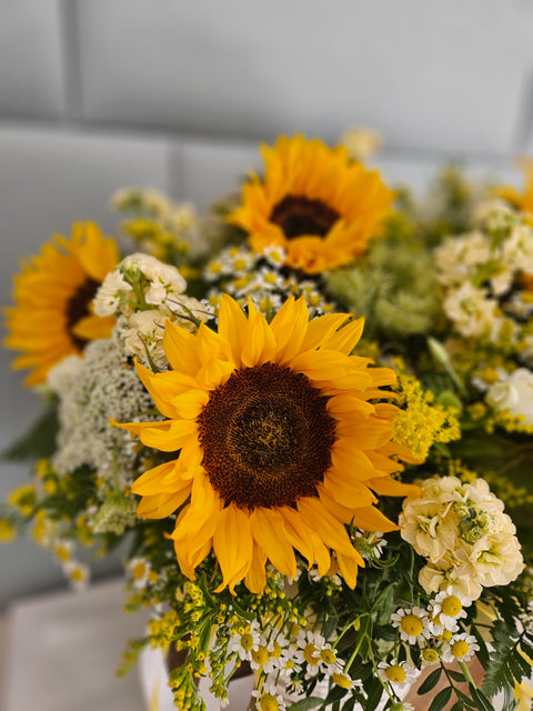 Monochrome Flowerbox Yellow