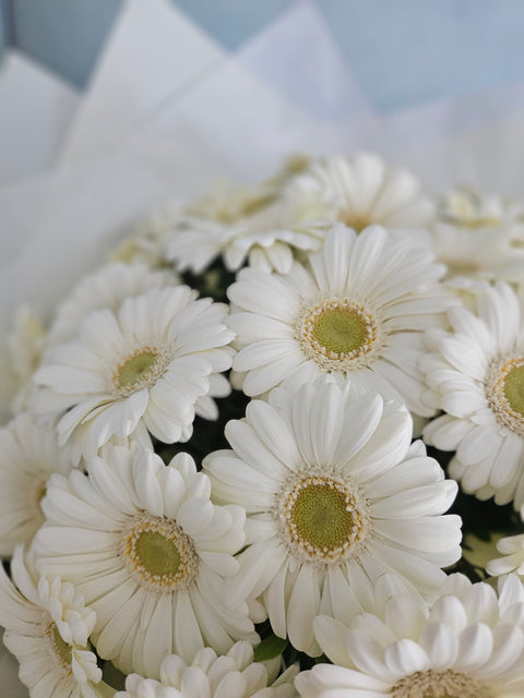Close-up of white germini flowers — monochrome bouquet by myflorist.cz