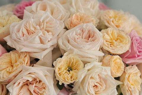 Rose Basket