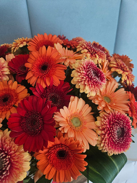 Podzimní flowerbox s gerberami