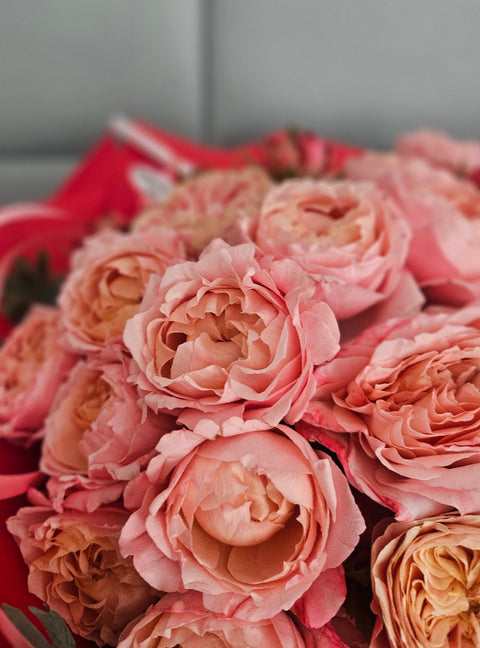 Peony Rose