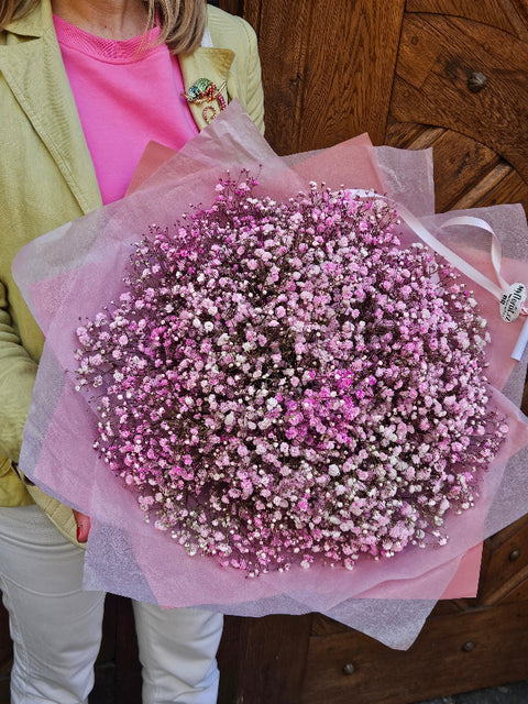 Pink Gypsophila Hug