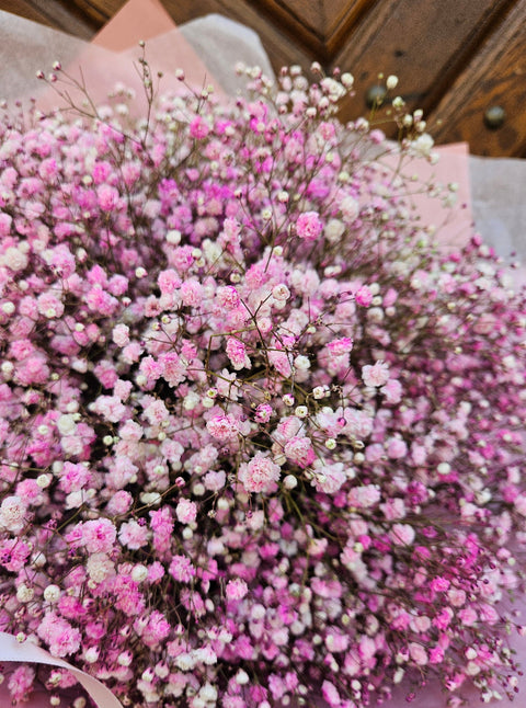 Pink Gypsophila Hug