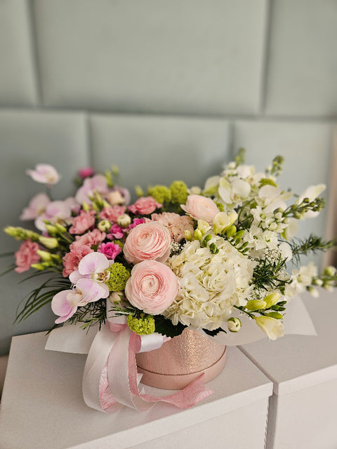 Flowerbox with Phalaenopsis Orchids