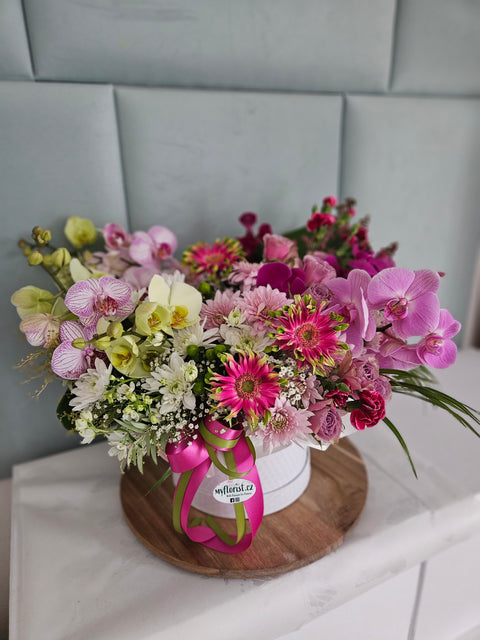 Flowerbox s orchidejemi Phalaenopsis