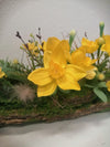 Moss Decoration with Daffodil